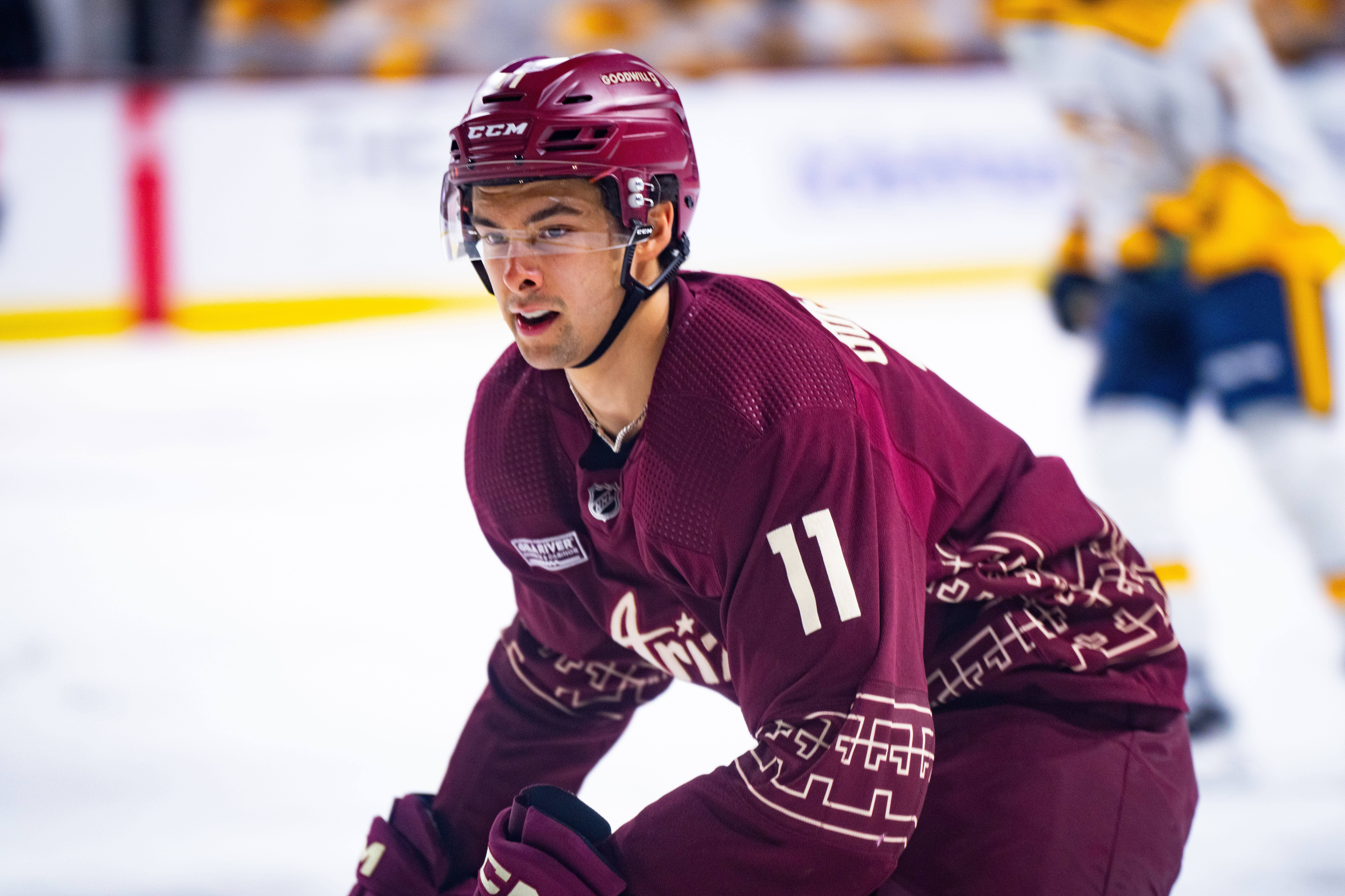 Dylan Guenther has cemented his place on the Coyotes roster.